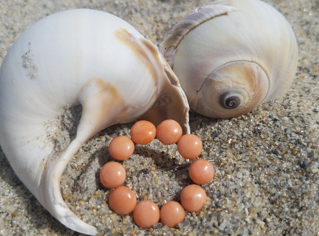 Victorian Coral Brooch