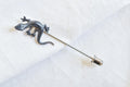 Victorian Lizard Stick Pin